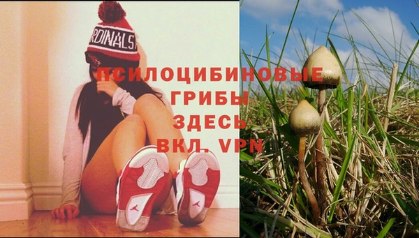 ПСИЛОЦИБИНОВЫЕ ГРИБЫ Богородск
