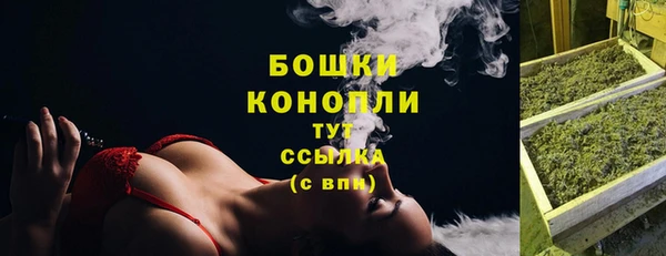экстази Богданович