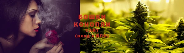 PSILOCYBIN Богородицк