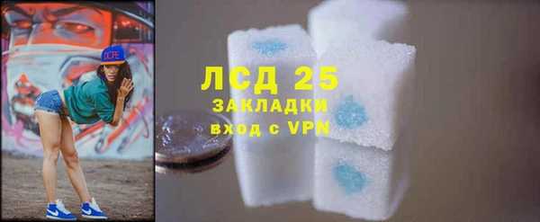 PSILOCYBIN Богородицк