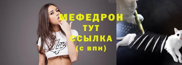 PSILOCYBIN Богородицк