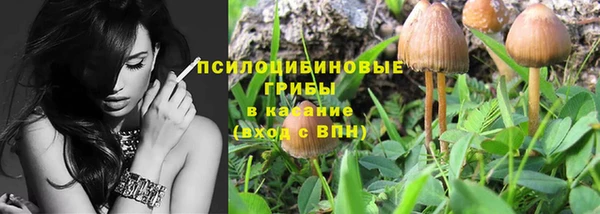 ПСИЛОЦИБИНОВЫЕ ГРИБЫ Богородск